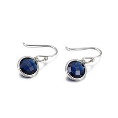 Sapphire Crystal Dangle Earrings <br> 
Hypoallergenic - Safe Surgical <br>
Stainless Steel 

